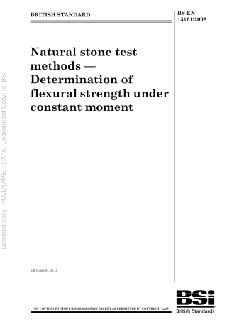 BS EN 13161 2008.pdf