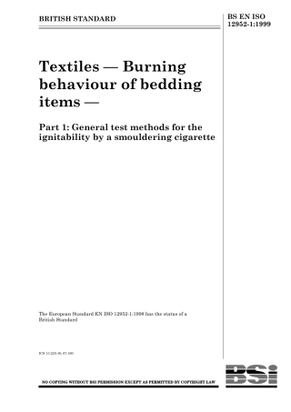 bs en iso 12952-1-1999.pdf