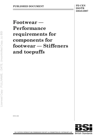 PD CEN ISO TR 22648 2007.pdf