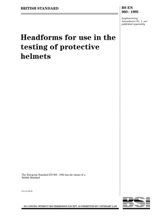BS EN 960-1995.pdf