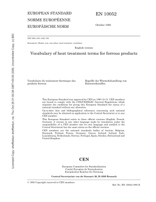 EN 10052.pdf
