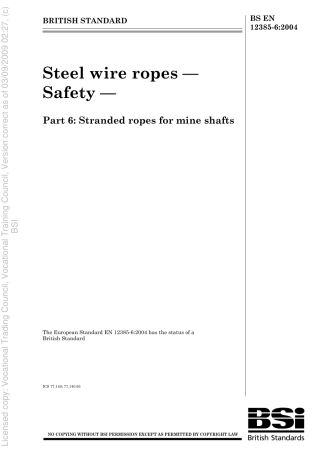 BS EN 12385-6 2004.pdf