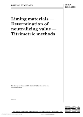 BS EN 12945 2002.pdf