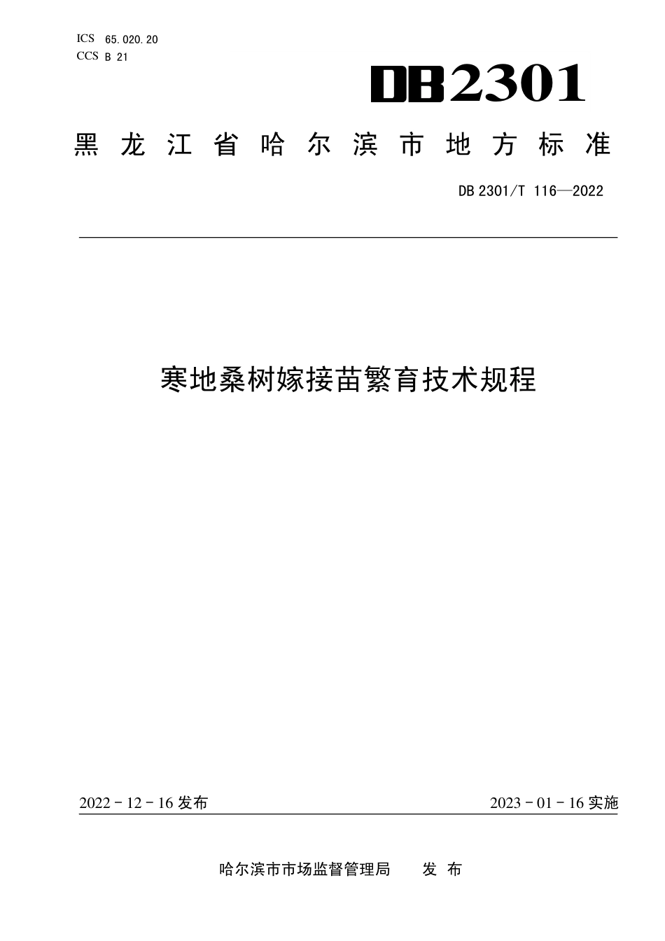 DB2301／T 116-2022《寒地桑树嫁接苗繁育技术规程》.pdf_第1页