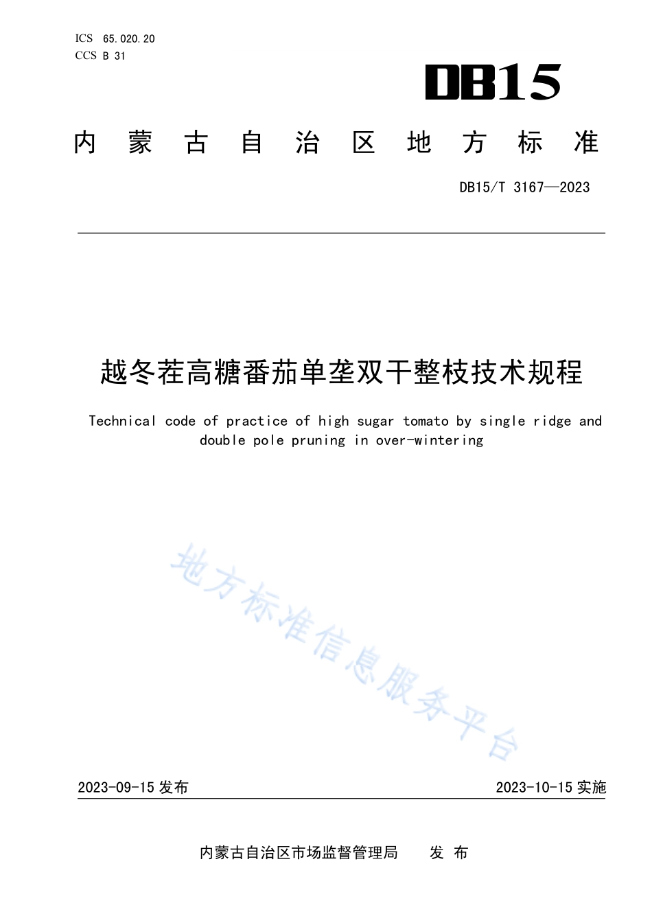 DB15_T 3167—2023越冬茬高糖番茄单垄双干整枝技术规程.pdf_第1页