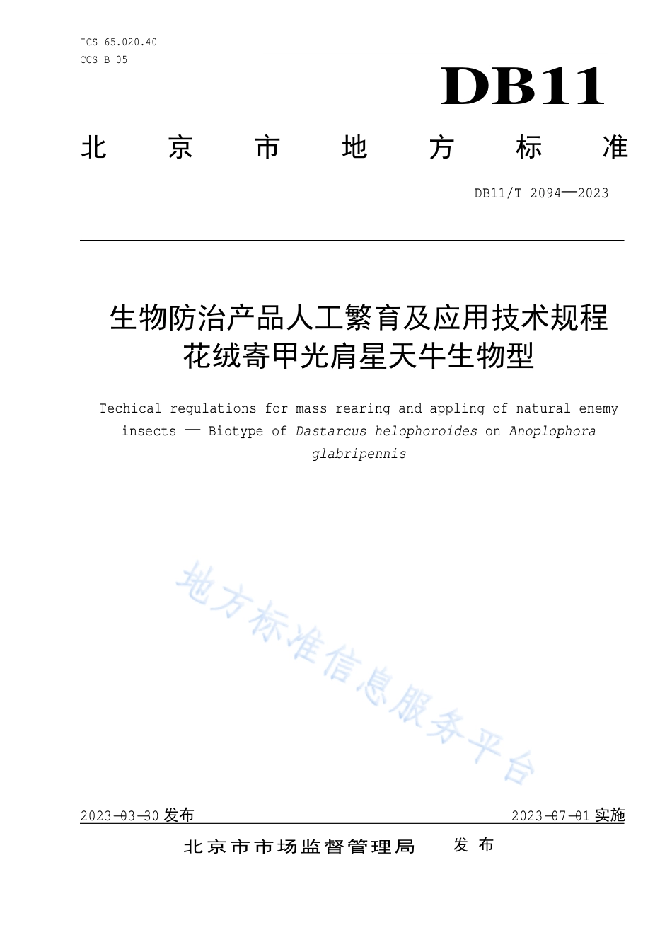 DB11_T 2094-2023生物防治产品人工繁育及应用技术规程 花绒寄甲光肩星天牛生物型.pdf_第1页
