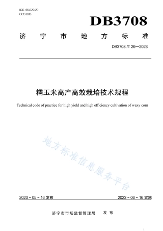 DB3708_T 26-2023糯玉米高产高效栽培技术规程.pdf