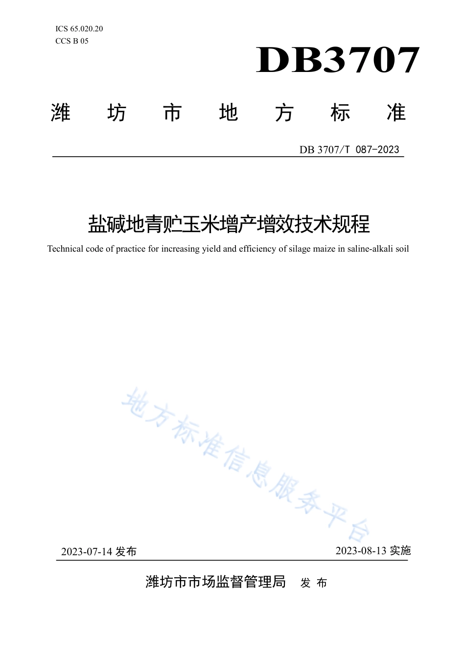 DB3707_T 087-2023盐碱地青贮玉米增产增效技术规程.pdf_第1页
