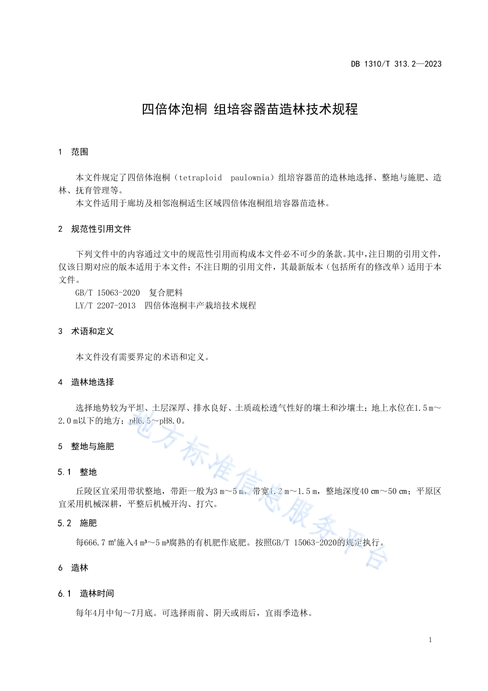 DB1310_T 313.2-2023四倍体泡桐 组培容器苗造林技术规程.pdf_第3页