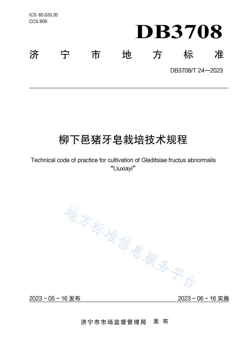 DB3708_T 24-2023柳下邑猪牙皂栽培技术规程.pdf_第1页