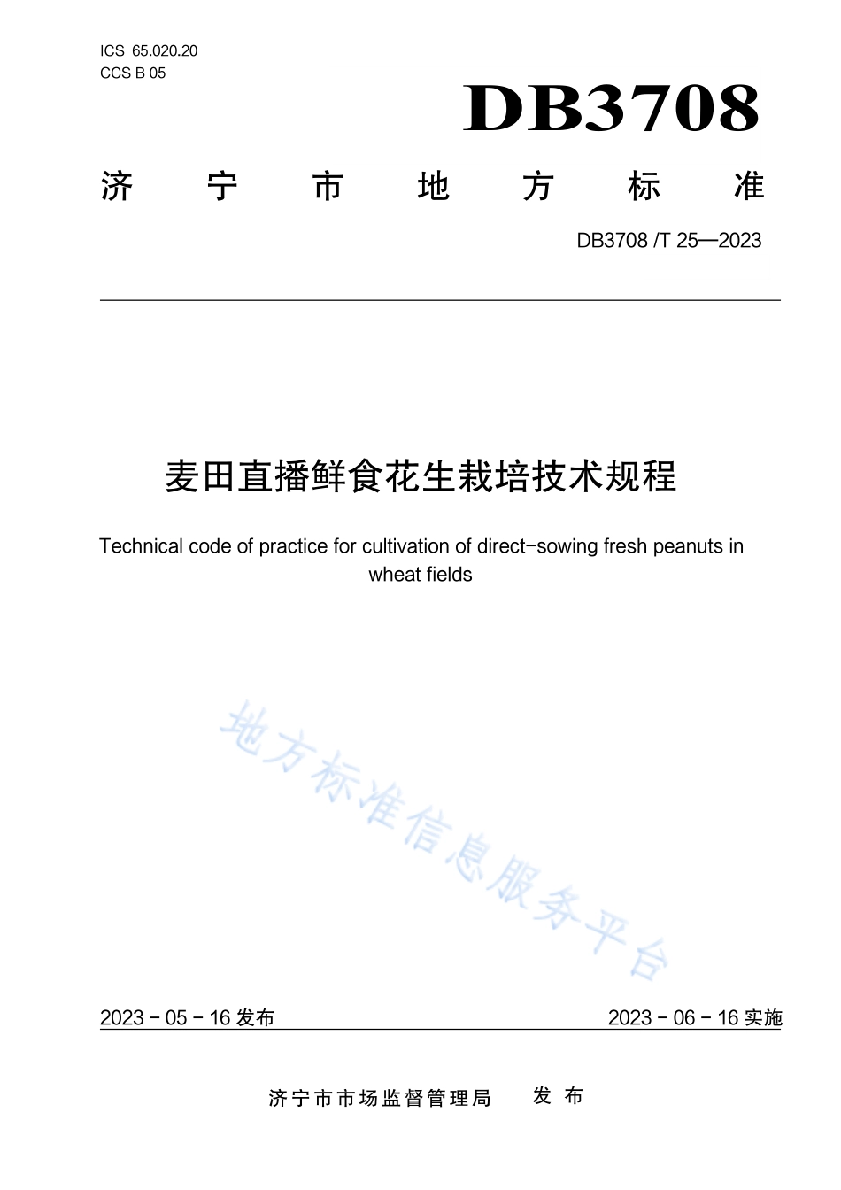 DB3708_T 25-2023麦田直播鲜食花生栽培技术规程.pdf_第1页