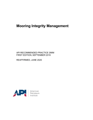 API RP 2MIM-2019 (2025).pdf