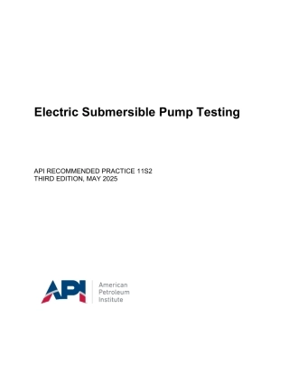 API RP 11S2-2025.pdf