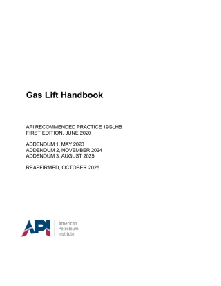 API RP 19GLHB-2020 (2025).pdf