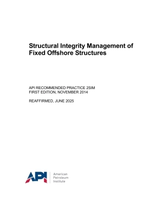 API RP 2SIM-2014 (2025).pdf