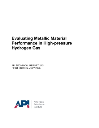 API TR 21C-2025.pdf