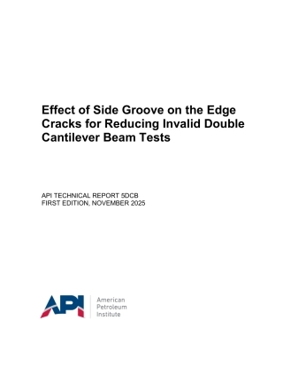 API TR 5DCB-2025.pdf