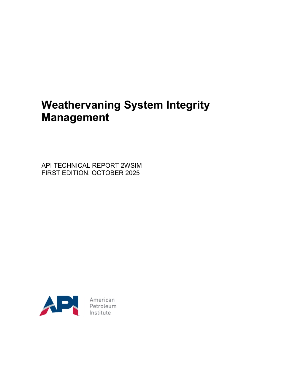 API TR 2WSIM-2025.pdf_第1页