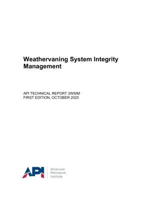 API TR 2WSIM-2025.pdf