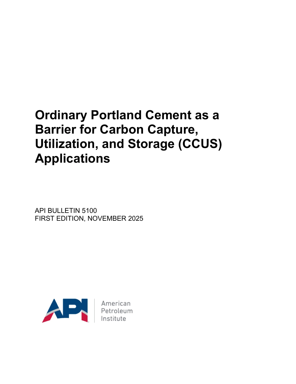 API Bull 5100-2025.pdf_第1页