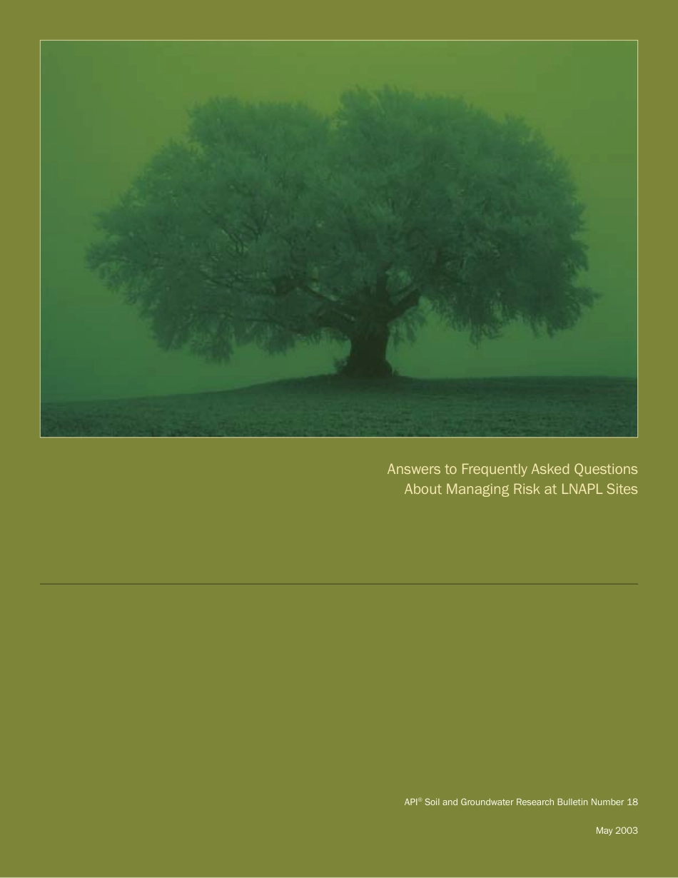 API Bull 18-2003.pdf_第1页