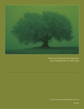 API Bull 18-2003.pdf