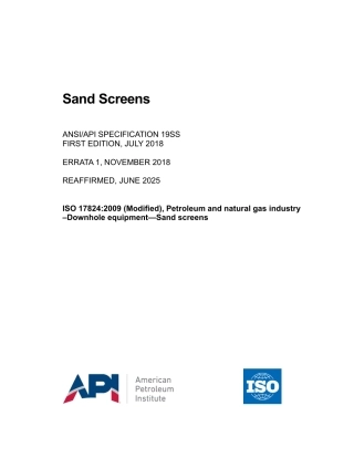 ANSI API Spec 19SS-2018 (2025).pdf