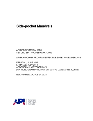 API Spec 19G1-2019 (2025).pdf