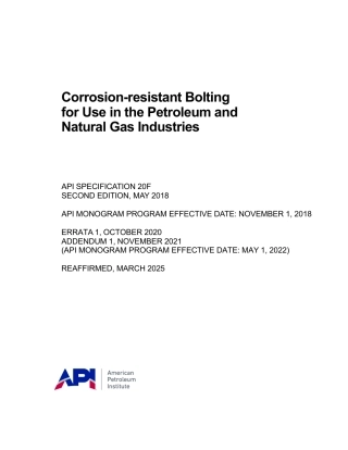 API Spec 20F-2018 (2025).pdf