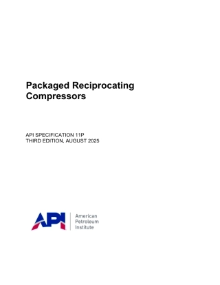 API Spec 11P-2025.pdf