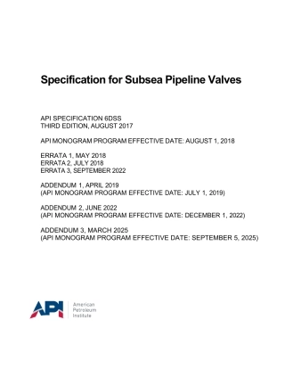 API Spec 6DSS-2017 (2025).pdf