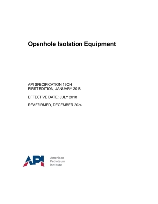 API Spec 19OH-2018 (2024).pdf
