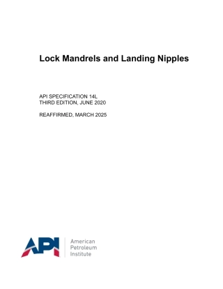 API Spec 14L-2020 (2025).pdf