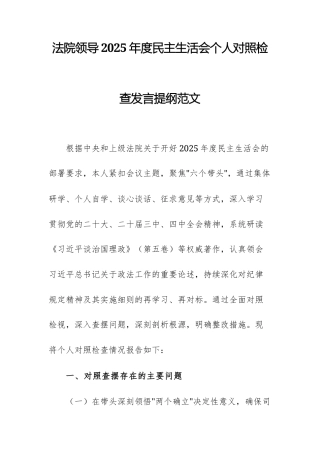 法院领导2025年度民主生活会个人对照检查发言提纲范文.docx