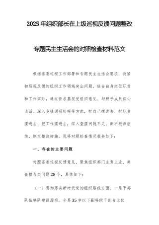 2025年党员干部在上级巡视反馈问题整改专题民主生活会的对照检查材料范文.docx
