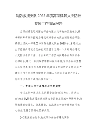 消防救援支队2025年度高层建筑火灾防控专项工作情况报告.docx