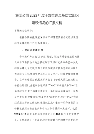 集团公司2025年度干部管理及基层党组织建设情况的汇报文稿.docx