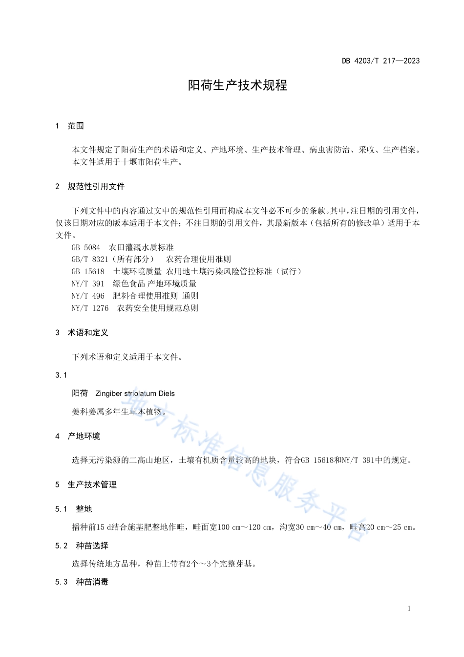 DB4203_T 217-2023阳荷生产技术规程.pdf_第3页
