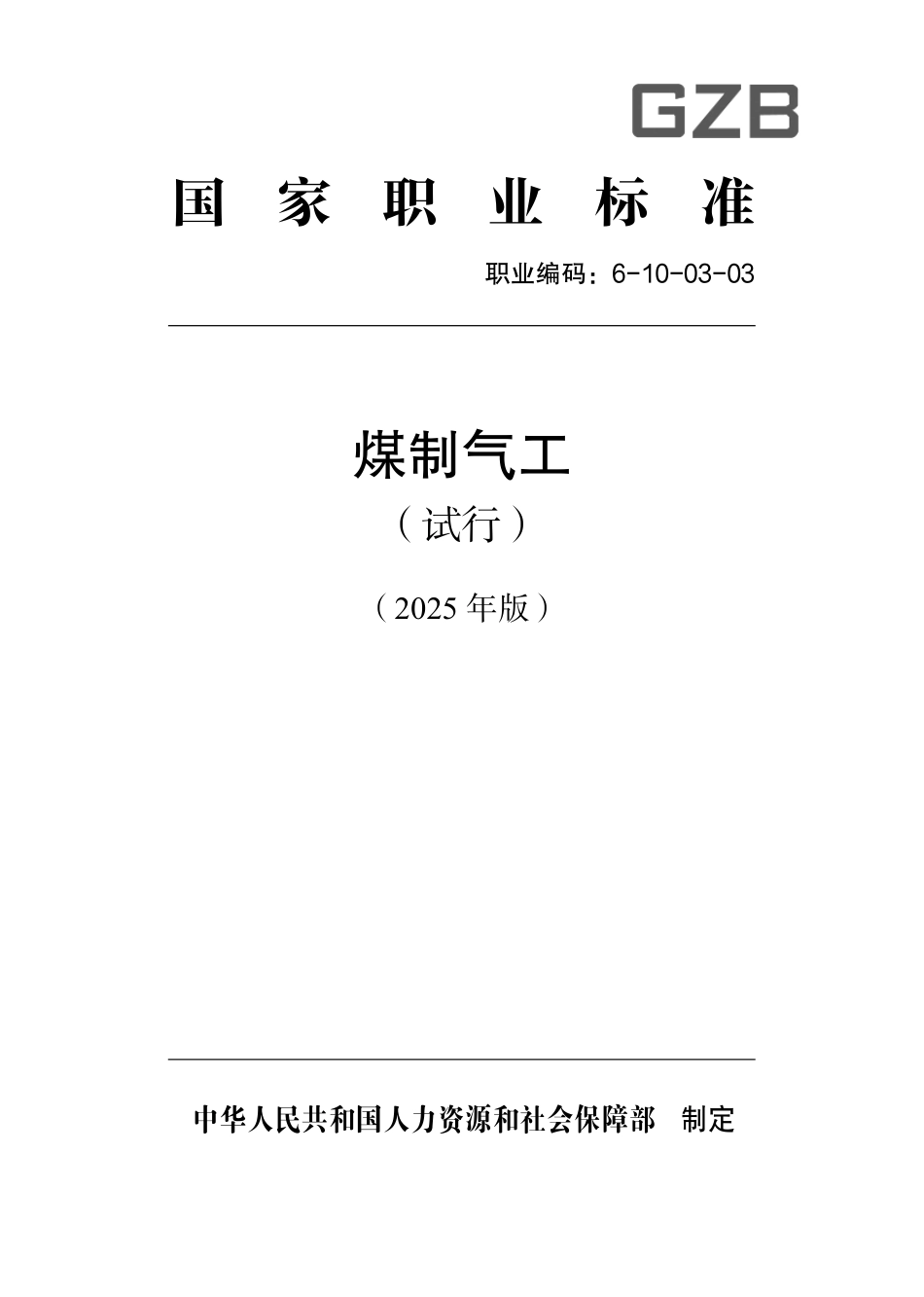 国家职业标准 6-10-03-03 煤制气工（试行） 2025年版.aaf.pdf_第1页