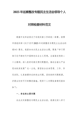 2025年巡察整改专题民主生活会领导个人对照检查材料范文.docx