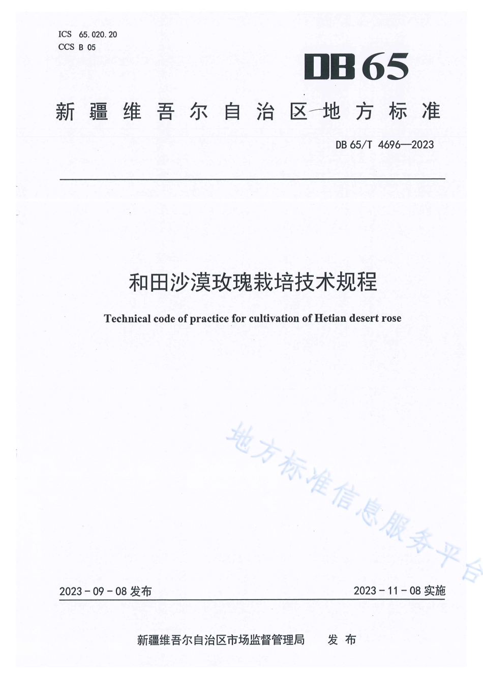 DB65_T4696-2023和田沙漠玫瑰栽培技术规程.pdf_第1页