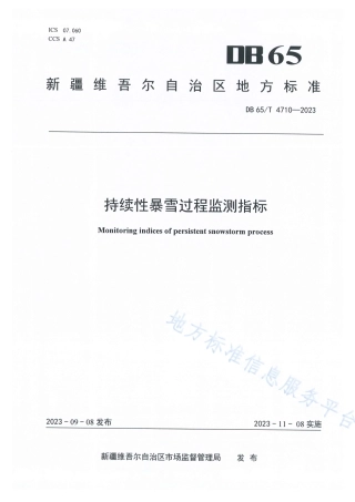 DB65_T4710-2023持续性暴雪过程监测指标.pdf