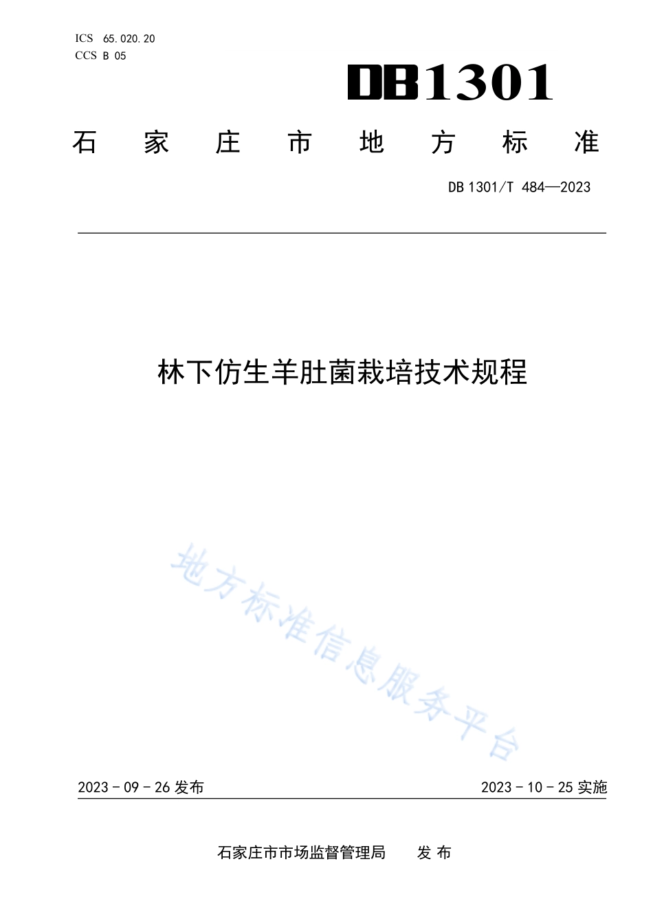 DB1301_T484-2023林下仿生羊肚菌栽培技术规程.pdf_第1页