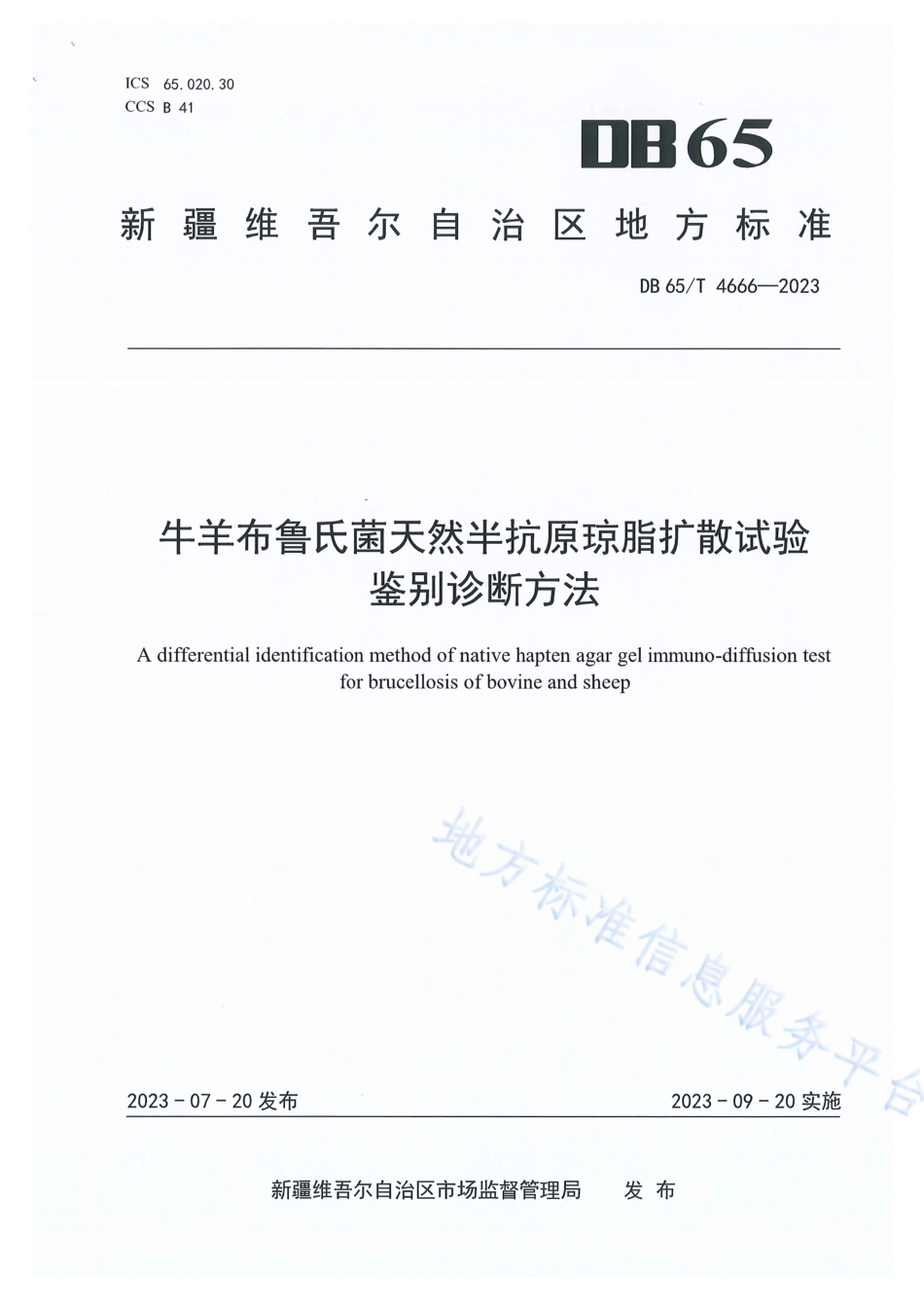 DB65_T 4666-2023牛羊布鲁氏菌天然半抗原琼脂扩散试验鉴别诊断方法.pdf_第1页