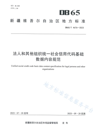 DB65_T 4676-2023法人和其他组织统一社会信用代码基础数据内容规范.pdf