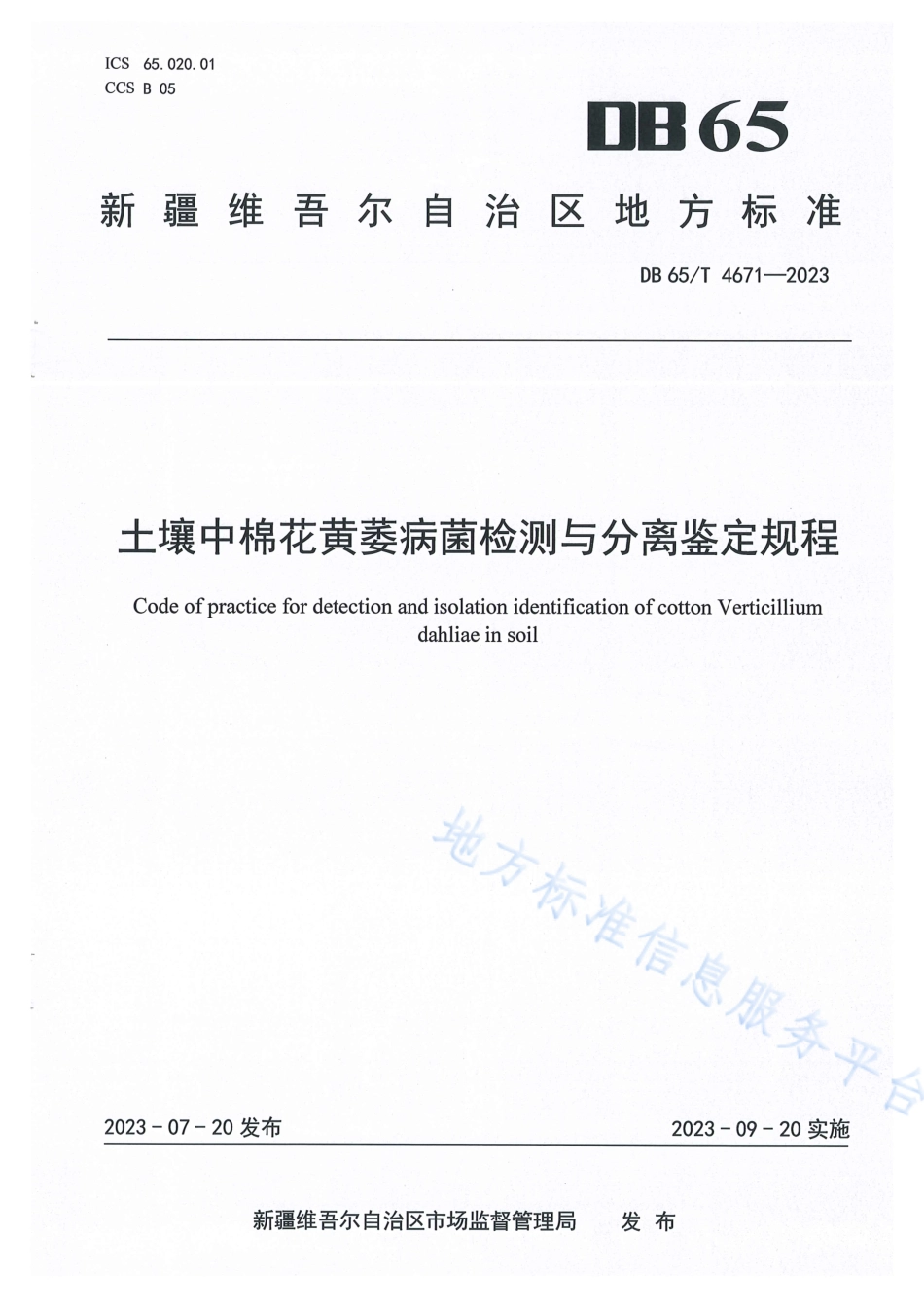 DB65_T 4671-2023土壤中棉花黄萎病菌检测与分离鉴定规程.pdf_第1页