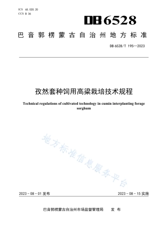 DB6528_T 195-2023孜然套种饲用高粱栽培技术规程.pdf