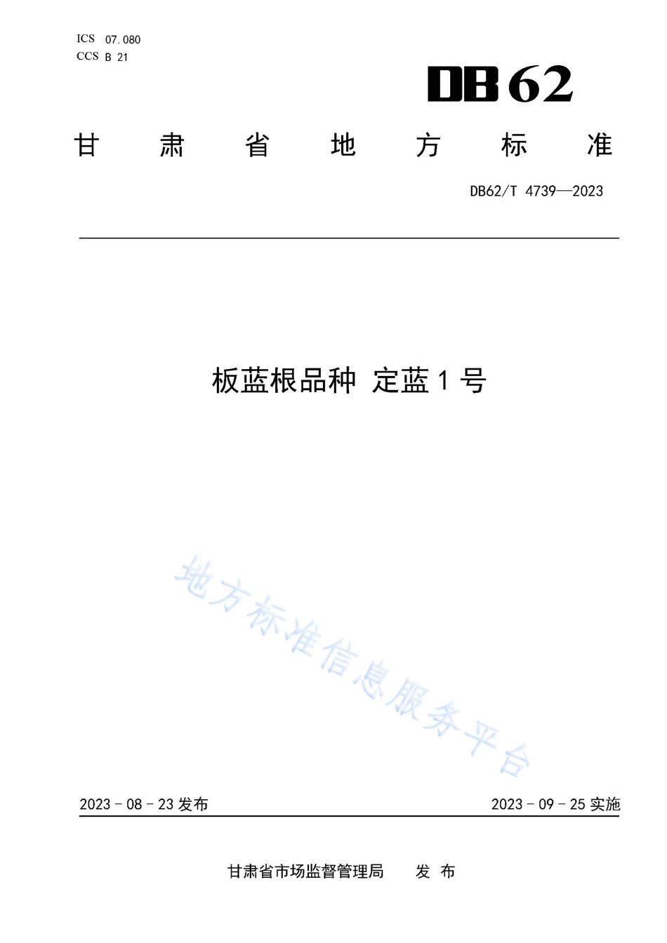 DB62_T 4739-2023板蓝根品种 定蓝1号.pdf_第1页