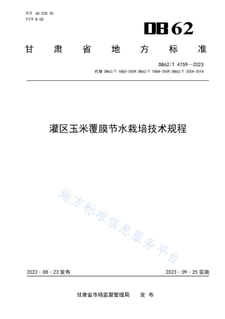 DB62_T 4759-2023灌区玉米覆膜节水栽培技术规程.pdf