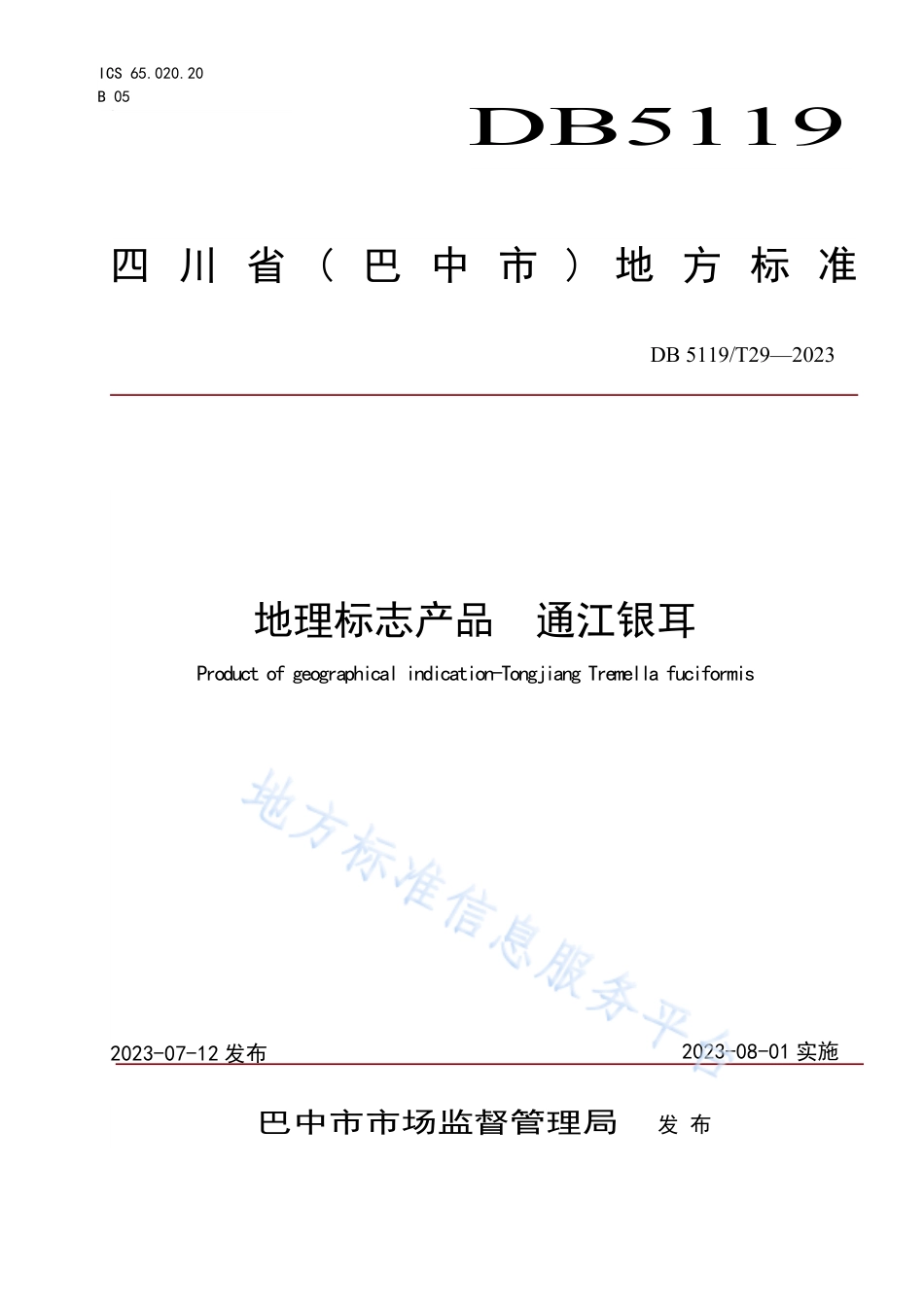 DB5119_T 29-2023地理标志产品 通江银耳.pdf_第1页
